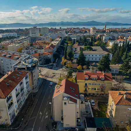 Olea Delux זאדאר