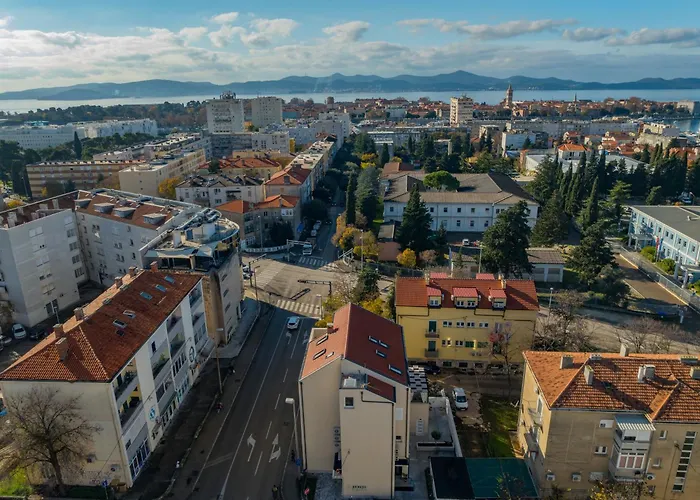 Olea Delux 扎达尔