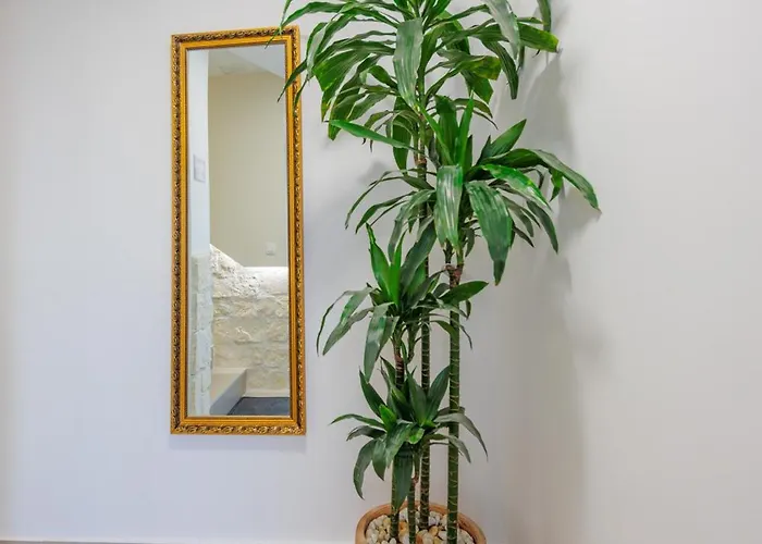 Olea Delux 招待所 3*