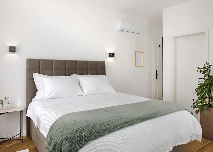 Olea Delux 招待所 扎达尔