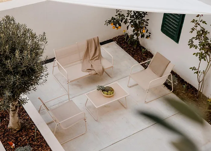 Olea Delux 扎达尔