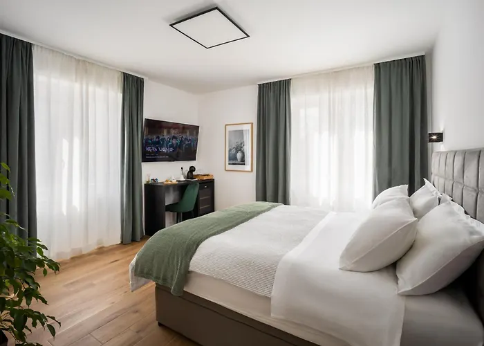 Olea Delux 招待所