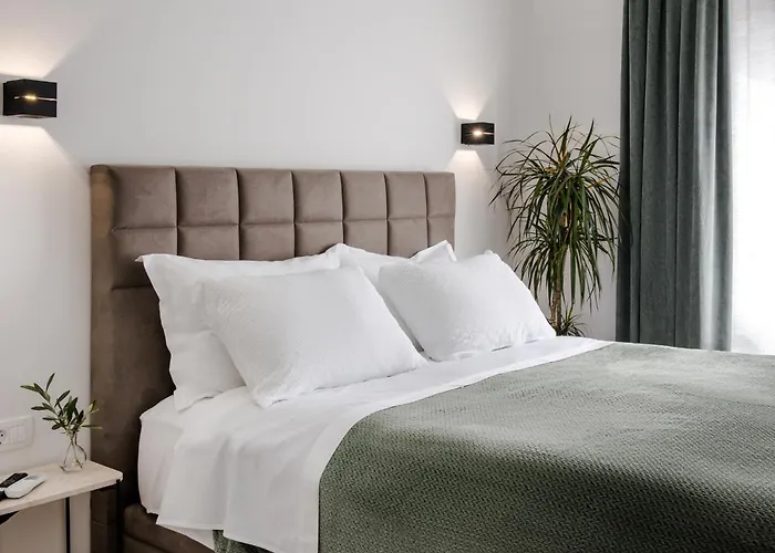 Olea Delux 招待所